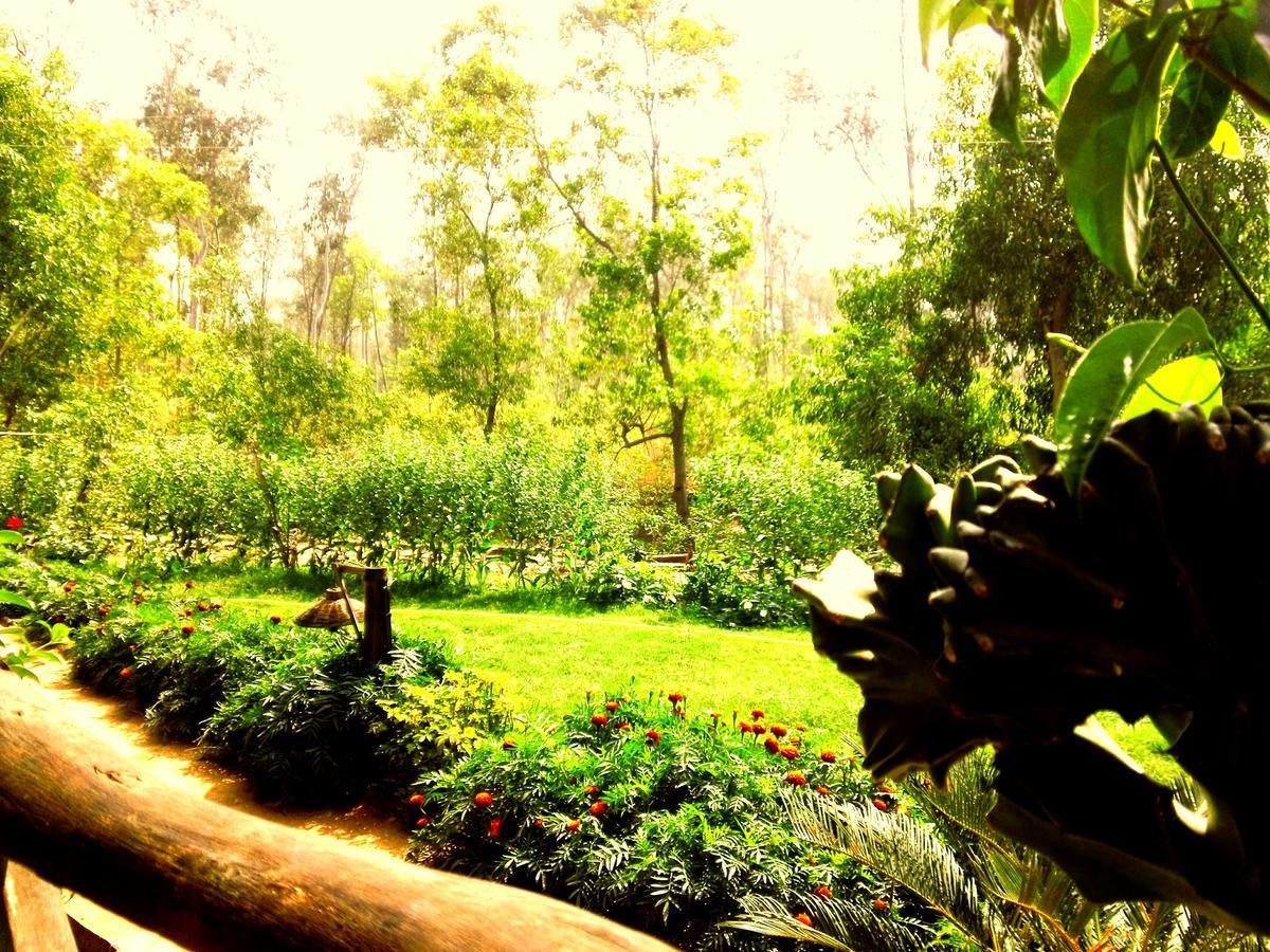 Roshnai Village Resort Bolpur Exterior photo